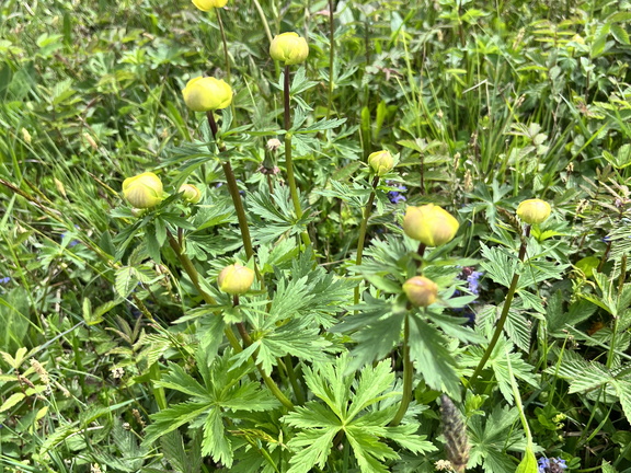 23-05-21 17-02-16 5537